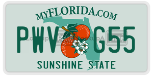 PWVG55  license plate in FL