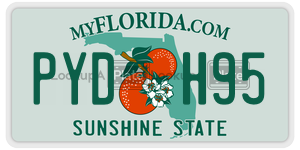 PYDH95  license plate in FL
