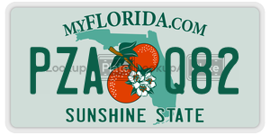 PZAQ82  license plate in FL