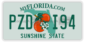 PZDI94  license plate in FL