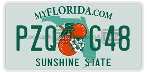 PZQG48  license plate in FL