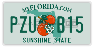 PZUB15 license plate in Florida