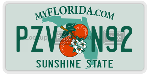 PZVN92 license plate in Florida