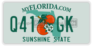 Q41GK  license plate in FL