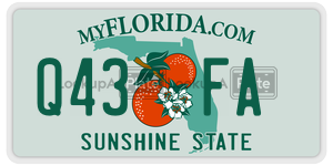 Q43FA  license plate in FL