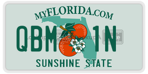 QBM1N  license plate in FL