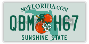 QBMH67  license plate in FL