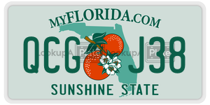 QCGJ38  license plate in FL
