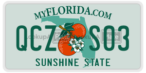 QCZS03  license plate in FL
