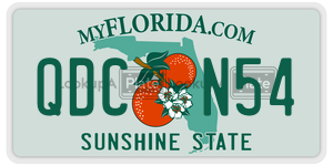 QDCN54  license plate in FL