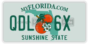 QDL6X  license plate in FL