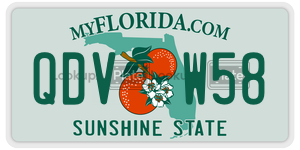 QDVW58  license plate in FL