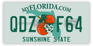 QDZF64 license plate in Florida