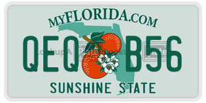 QEQB56 license plate in Florida