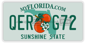 QERG72  license plate in FL
