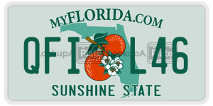 QFIL46  license plate in FL