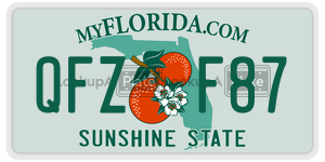 QFZF87  license plate in FL