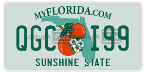 QGCI99  license plate in FL