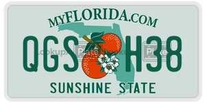 QGSH38  license plate in FL