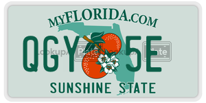 QGY5E  license plate in FL