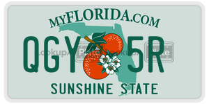 QGY5R  license plate in FL