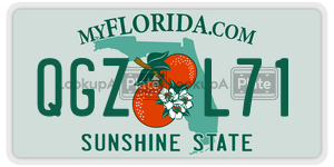 QGZL71 license plate in Florida