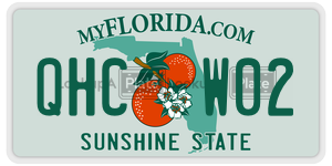 QHCW02  license plate in FL