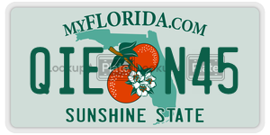 QIEN45 license plate in Florida