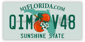 QIMV48 license plate in Florida