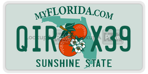 QIRX39 license plate in Florida