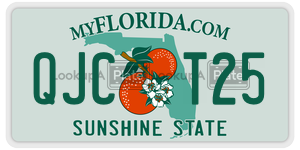 QJCT25  license plate in FL