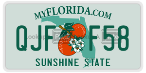 QJFF58  license plate in FL