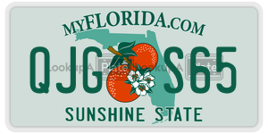 QJGS65 license plate in Florida