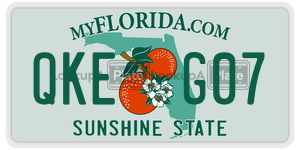 QKEG07  license plate in FL