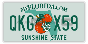 QKGX59  license plate in FL