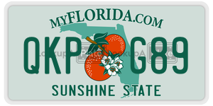 QKPG89 license plate in Florida