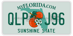 QLPJ96  license plate in FL