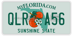 QLRA56 license plate in Florida