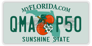 QMAP50 license plate in Florida