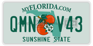 QMNV43  license plate in FL
