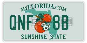 QNF8B license plate in Florida