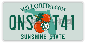 QNST41  license plate in FL