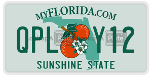 QPLY12 license plate in Florida