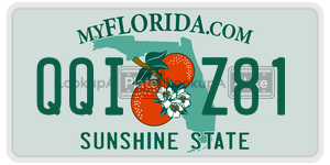 QQIZ81  license plate in FL