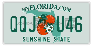 QQJU46  license plate in FL