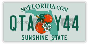 QTAY44 license plate in Florida