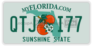 QTJI77 license plate in Florida