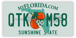 QTKM58  license plate in FL