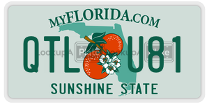 QTLU81 license plate in Florida