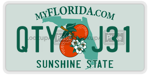 QTYJ31  license plate in FL